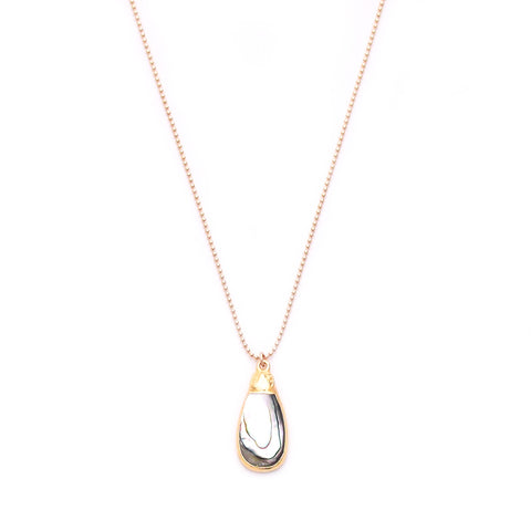 mini abalone shell