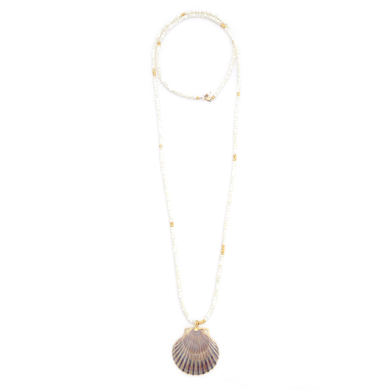 mother of pearl & scallop shell