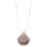 mother of pearl & scallop shell
